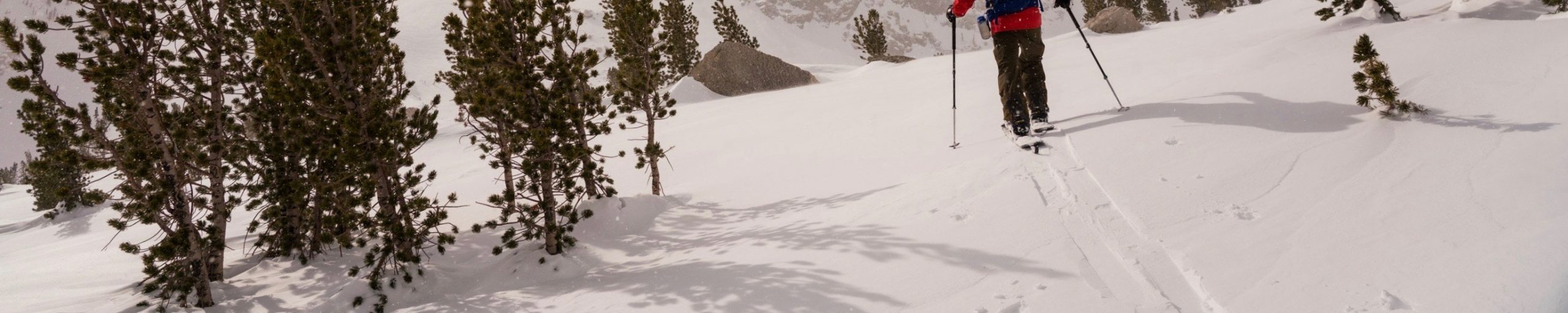 Skis & Snowboards
