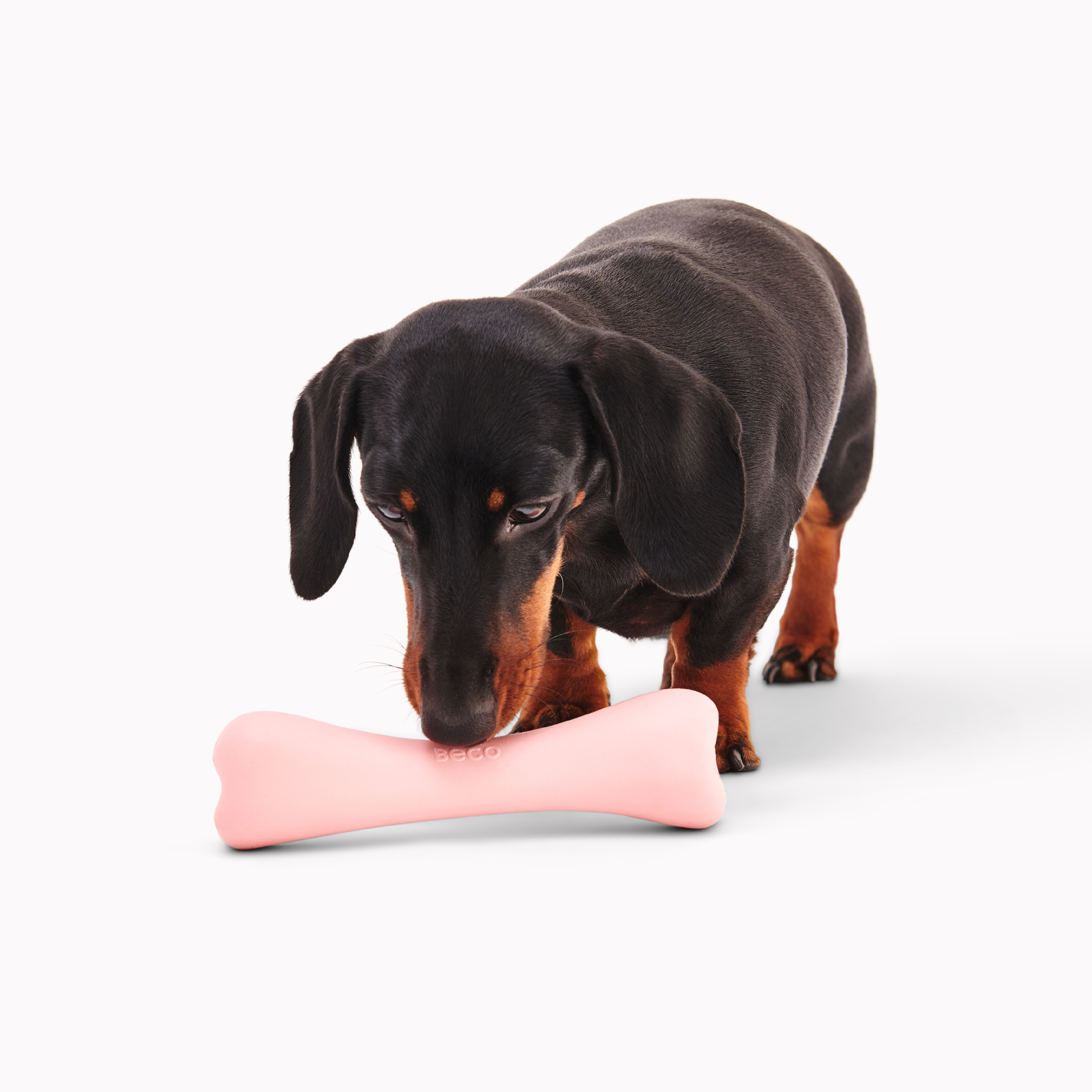 Natural Rubber Treat Bone