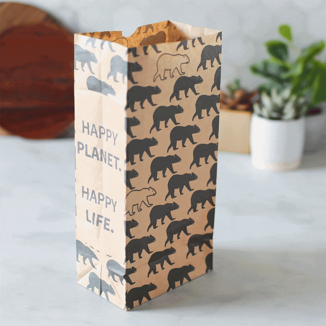 Recyclable Paper Lunch Sacs Variety Pack