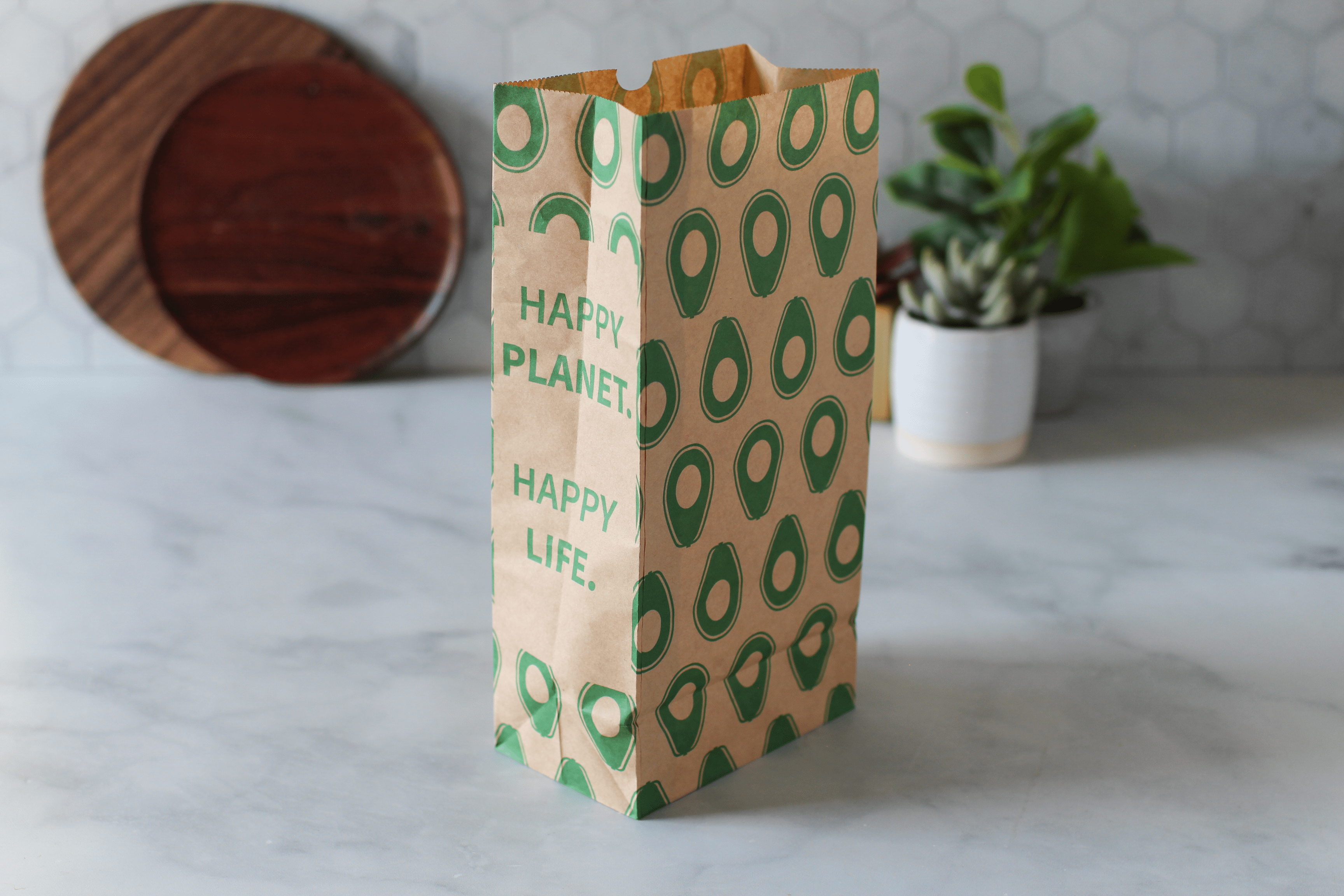 Recyclable Paper Lunch Sacs Variety Pack