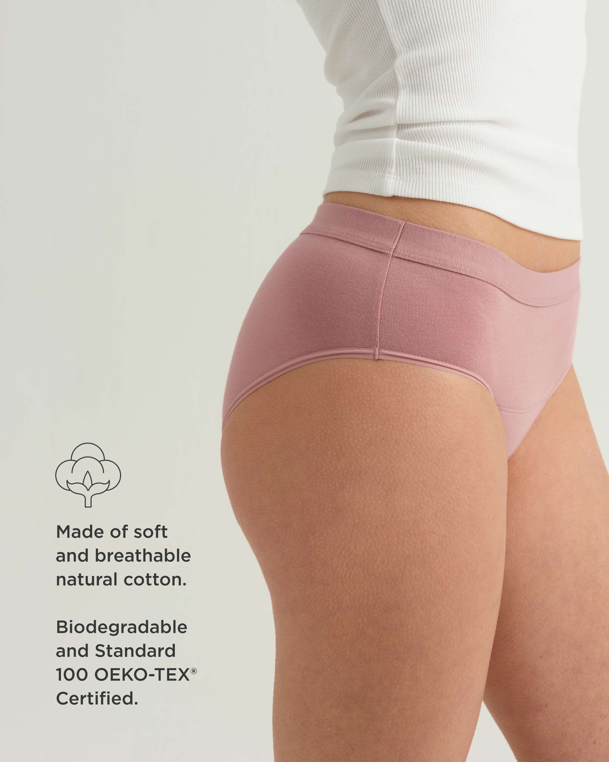 Leakproof Period Cotton Brief