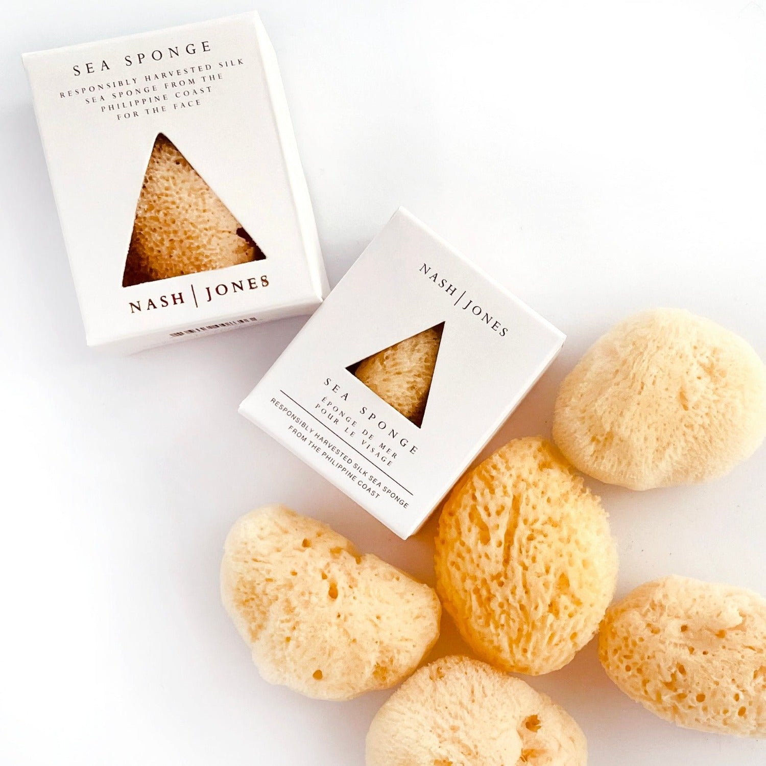 Sea Sponges