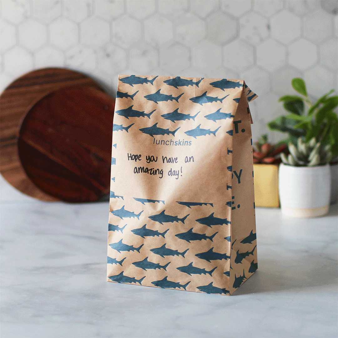 Recyclable Large Lunch Sacs