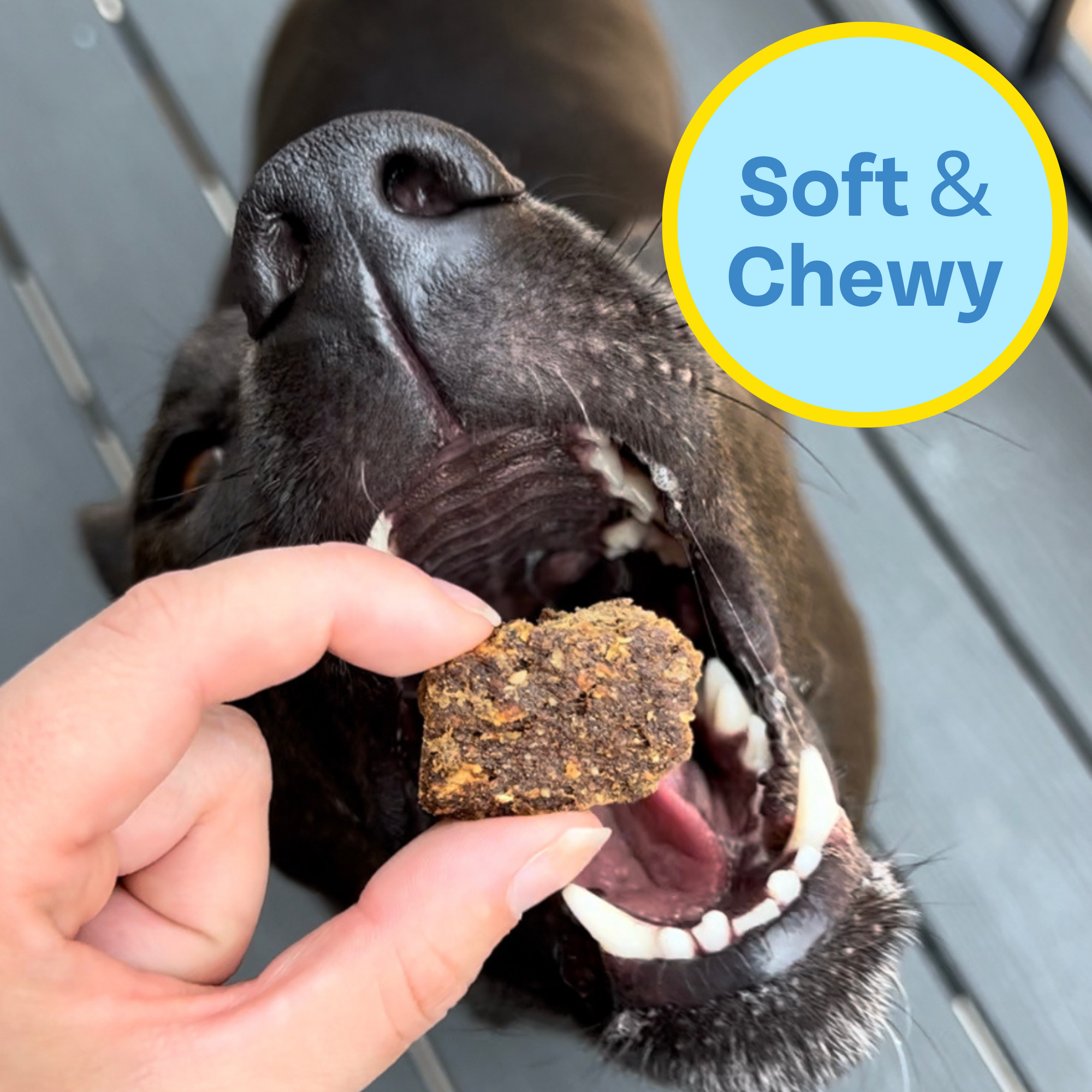 Wild-Caught Fish Jerky Dog Treats, 2-pack